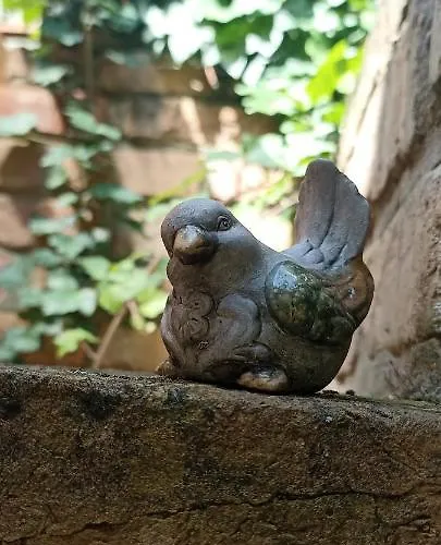 Apartament Barackvirag Apartmanhaz Vonyarcvashegy