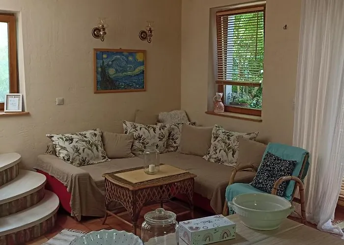 Barackvirág Vonyarcvashegy