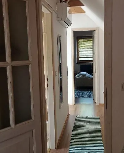 Barackvirág * Vonyarcvashegy